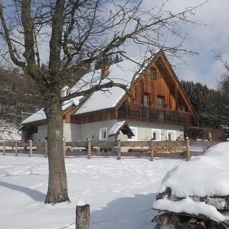Ferienhaus "Zur Alten Schmiede" Mariahof Ngoại thất bức ảnh