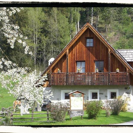 Ferienhaus "Zur Alten Schmiede" Mariahof Ngoại thất bức ảnh