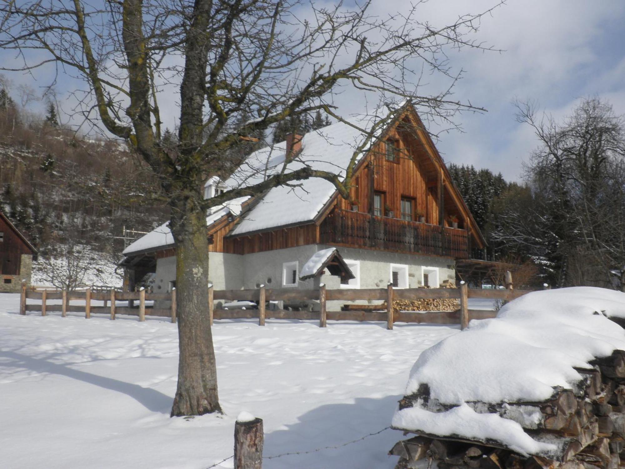 Ferienhaus "Zur Alten Schmiede" Mariahof Ngoại thất bức ảnh
